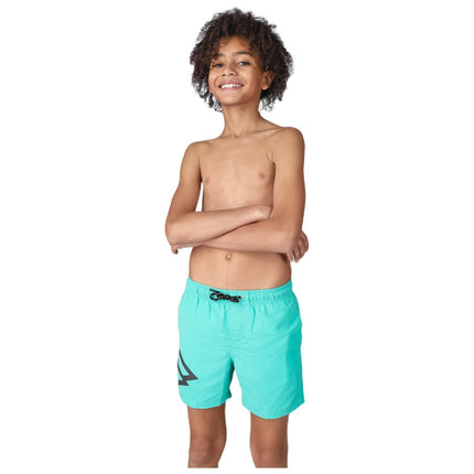 Brunotti Brunotti Zwembroek Jongens Crunotos Groen