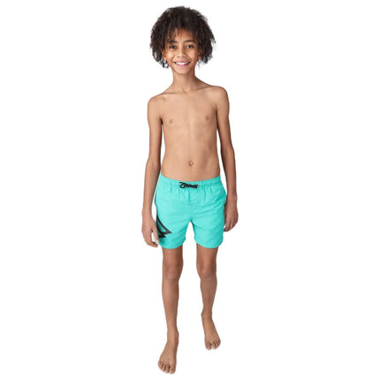 Brunotti Brunotti Zwembroek Jongens Crunotos Groen