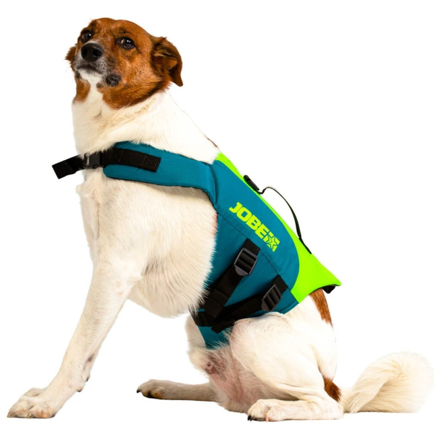 JOBE Honden Zwemvest Teal