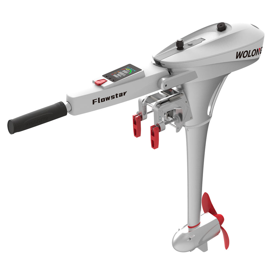 Wolong Flowstar 1,5 kW Langschaft Pinne