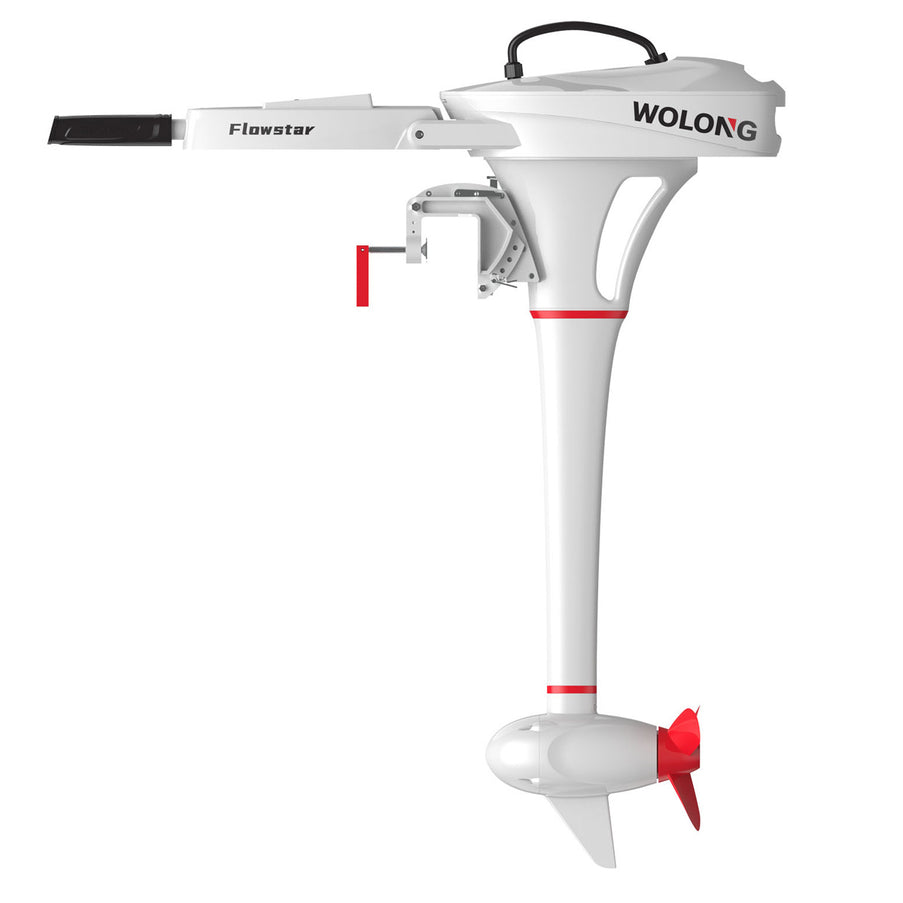 Wolong Flowstar 1,0 kW Kurzschaft Pinne